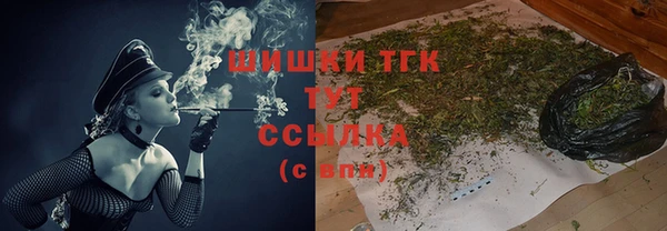 скорость Вяземский