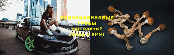 скорость Вяземский