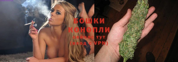 скорость Вяземский
