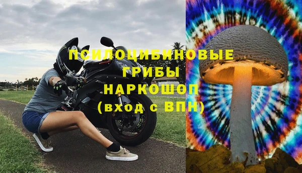 скорость Вяземский