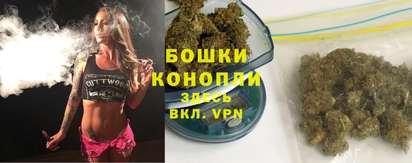 скорость Вяземский