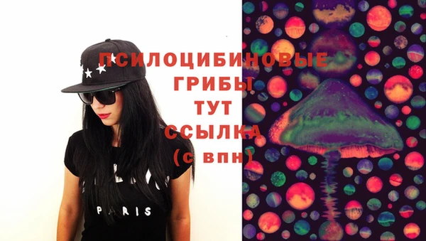 гашик Вязники